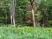 1788 OLD MUSKOKA ROAD | Huntsville Ontario | Slide Image Eight