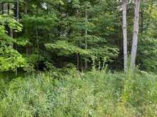 60 SUMMER LEIGH TRAIL | Huntsville Ontario | Slide Image One