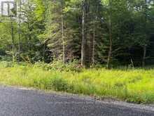 60 SUMMER LEIGH TRAIL | Huntsville Ontario | Slide Image Two