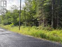 60 SUMMER LEIGH TRAIL | Huntsville Ontario | Slide Image Three