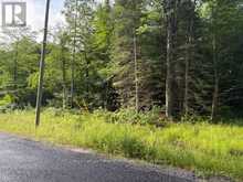 60 SUMMER LEIGH TRAIL | Huntsville Ontario | Slide Image Four