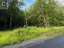 60 SUMMER LEIGH TRAIL | Huntsville Ontario | Slide Image Five