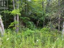 60 SUMMER LEIGH TRAIL | Huntsville Ontario | Slide Image Six