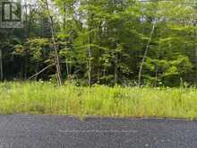 60 SUMMER LEIGH TRAIL | Huntsville Ontario | Slide Image Seven