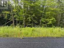 60 SUMMER LEIGH TRAIL | Huntsville Ontario | Slide Image Eight