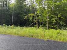 60 SUMMER LEIGH TRAIL | Huntsville Ontario | Slide Image Nine