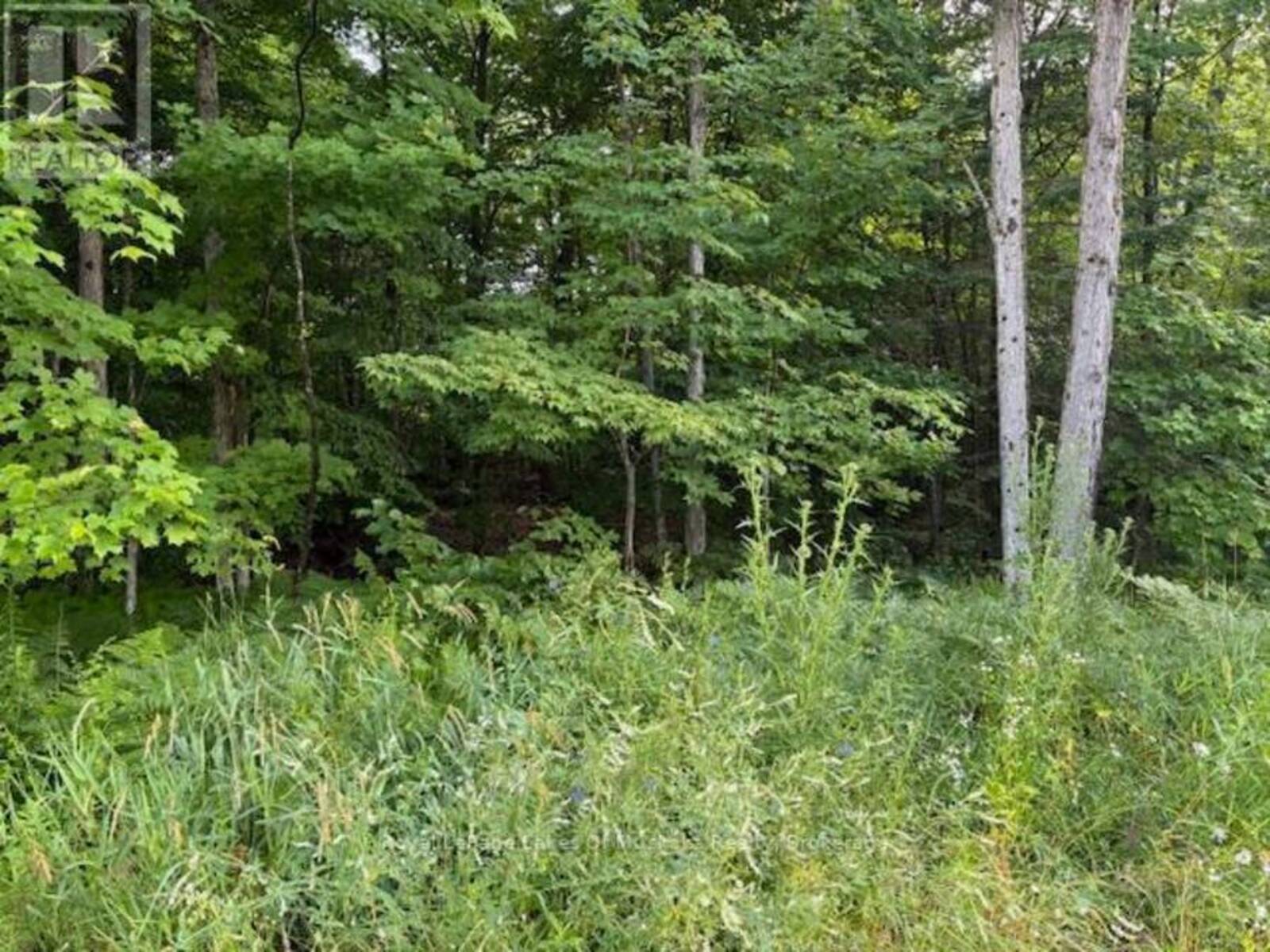 60 SUMMER LEIGH TRAIL, Huntsville, Ontario P0B 1M0