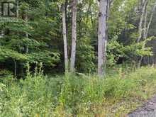 47 SUMMER LEIGH TRAIL | Huntsville Ontario | Slide Image Five