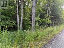 47 SUMMER LEIGH TRAIL | Huntsville Ontario | Slide Image Six