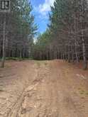 1958 518 HIGHWAY | McMurrich/Monteith Ontario | Slide Image Twelve