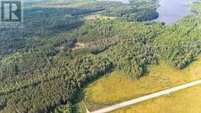1958 518 HIGHWAY | McMurrich/Monteith Ontario | Slide Image Seventeen