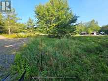 1006 BOWYERS BEACH ROAD | Bracebridge Ontario | Slide Image Two