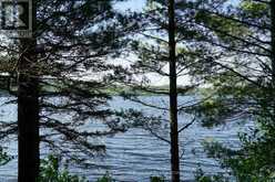 1173 HIGHWAY 60 | South Algonquin Ontario | Slide Image Ten