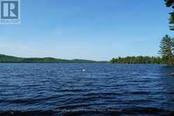 1173 HIGHWAY 60 | South Algonquin Ontario | Slide Image Two