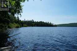 1173 HIGHWAY 60 | South Algonquin Ontario | Slide Image Five
