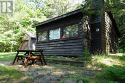 1173 HIGHWAY 60 | South Algonquin Ontario | Slide Image Seven