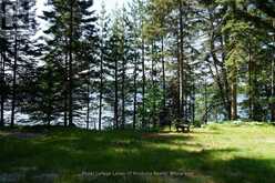 1173 HIGHWAY 60 | South Algonquin Ontario | Slide Image Nine