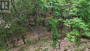 0 TRAPPER'S TRAIL ROAD | Haliburton Ontario | Slide Image Ten