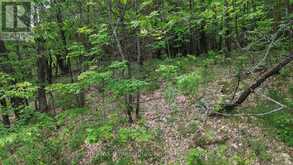 0 TRAPPER'S TRAIL ROAD | Haliburton Ontario | Slide Image Eleven