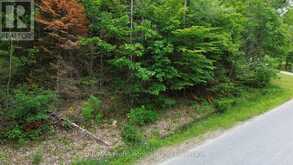 0 TRAPPER'S TRAIL ROAD | Haliburton Ontario | Slide Image Fifteen