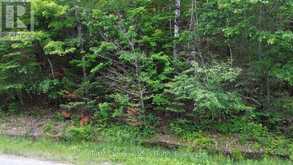 0 TRAPPER'S TRAIL ROAD | Haliburton Ontario | Slide Image Sixteen