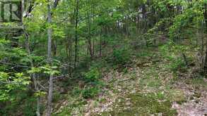 0 TRAPPER'S TRAIL ROAD | Haliburton Ontario | Slide Image Nine