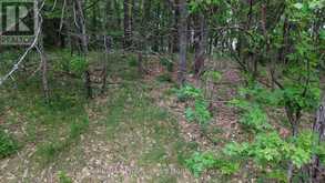 0 TRAPPER'S TRAIL ROAD | Haliburton Ontario | Slide Image Twelve