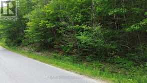 0 TRAPPER'S TRAIL ROAD | Haliburton Ontario | Slide Image Seventeen