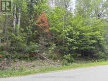 0 TRAPPER'S TRAIL ROAD | Haliburton Ontario | Slide Image Nineteen