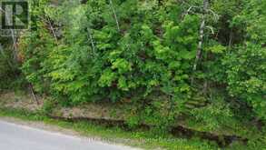 0 TRAPPER'S TRAIL ROAD | Haliburton Ontario | Slide Image One