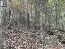 0 TRAPPER'S TRAIL ROAD | Haliburton Ontario | Slide Image Twenty-two