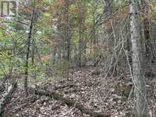 0 TRAPPER'S TRAIL ROAD | Haliburton Ontario | Slide Image Twenty-three