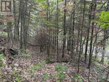 0 TRAPPER'S TRAIL ROAD | Haliburton Ontario | Slide Image Twenty-four