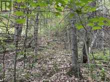 0 TRAPPER'S TRAIL ROAD | Haliburton Ontario | Slide Image Twenty-six