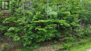 0 TRAPPER'S TRAIL ROAD | Haliburton Ontario | Slide Image Two