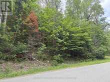 0 TRAPPER'S TRAIL ROAD | Haliburton Ontario | Slide Image Eighteen