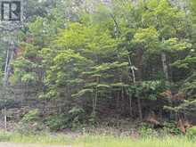0 TRAPPER'S TRAIL ROAD | Haliburton Ontario | Slide Image Twenty