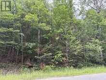0 TRAPPER'S TRAIL ROAD | Haliburton Ontario | Slide Image Twenty-one