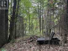 0 TRAPPER'S TRAIL ROAD | Haliburton Ontario | Slide Image Twenty-seven