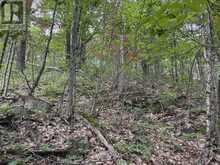 0 TRAPPER'S TRAIL ROAD | Haliburton Ontario | Slide Image Twenty-eight