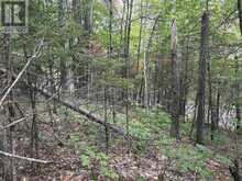 0 TRAPPER'S TRAIL ROAD | Haliburton Ontario | Slide Image Thirty
