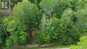 0 TRAPPER'S TRAIL ROAD | Haliburton Ontario | Slide Image Four