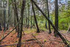 660 DORCAS BAY ROAD | Tobermory Ontario | Slide Image Sixteen