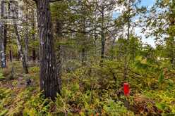 660 DORCAS BAY ROAD | Tobermory Ontario | Slide Image Seventeen