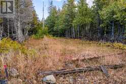 660 DORCAS BAY ROAD | Tobermory Ontario | Slide Image Eighteen