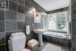 6 29C MOWAT ISLAND | Carling Ontario | Slide Image Twenty