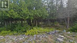 LT 254 DORCAS BAY ROAD | Tobermory Ontario | Slide Image One