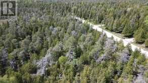 LT 254 DORCAS BAY ROAD | Tobermory Ontario | Slide Image Twenty-six