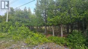 LT 254 DORCAS BAY ROAD | Tobermory Ontario | Slide Image Two