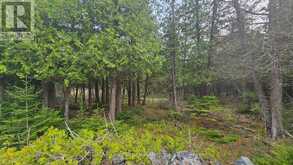 LT 254 DORCAS BAY ROAD | Tobermory Ontario | Slide Image Three